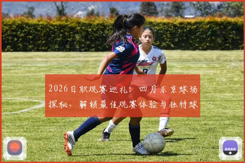 2026日职观赛巡礼：四月东京球场探秘，解锁最佳观赛体验与独特球迷文化